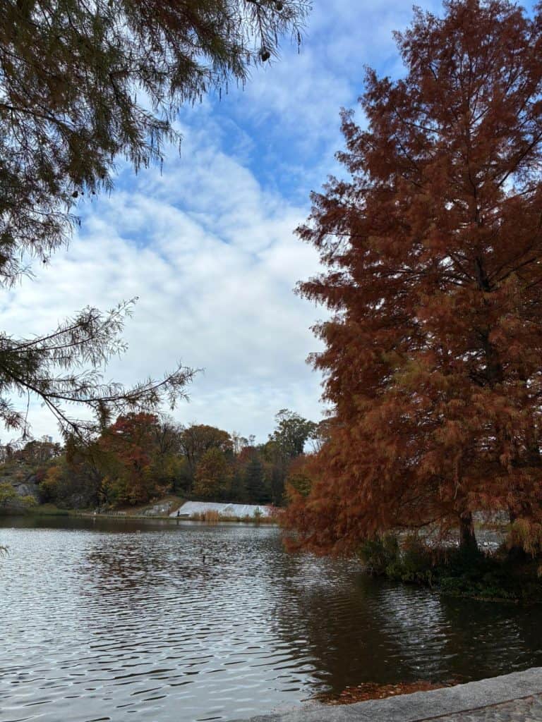 Fall, Mental Health, and the Subtle Ways Our Bodies Shift With the Season