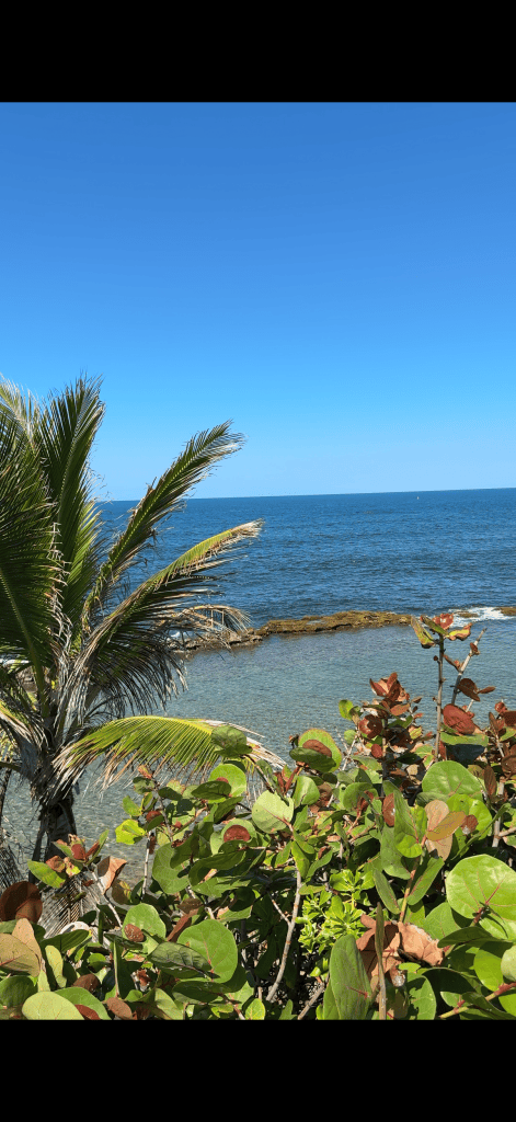 You Are Not Broken: How Your Environment Shapes Anxiety, ADHD, Burnout, and Mood