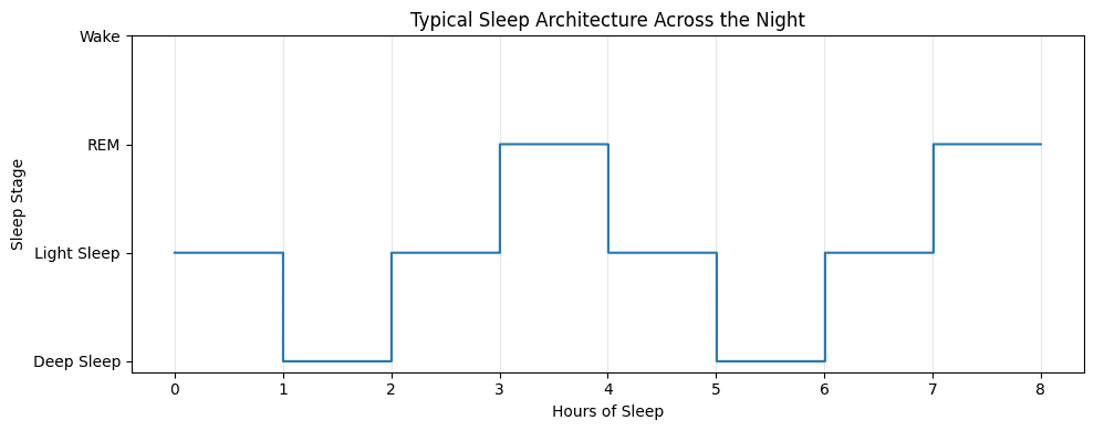 Sleeping “Enough” but Still Exhausted: Why Sleep Stages Matter More Than Time in Bed